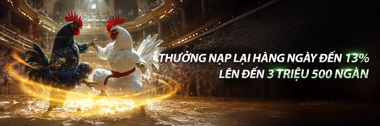 Tổng quan các môn thể thao tại gà cam 67.com